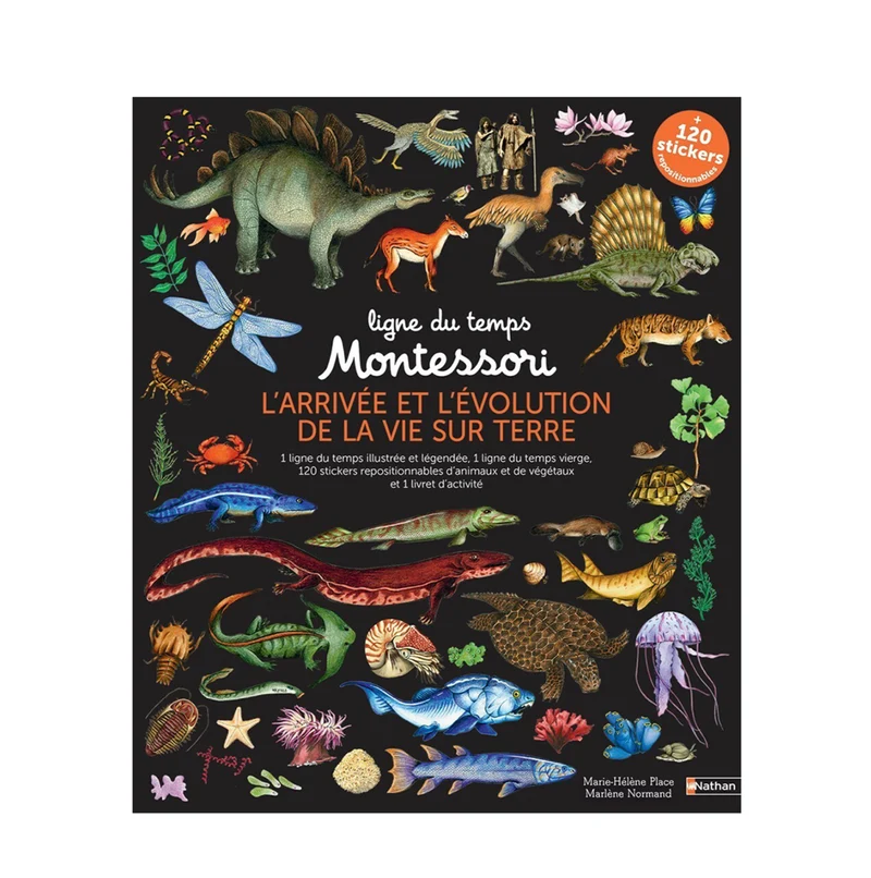 Ligne du Temps Montessori - L'arrivée et l'Evolution de la Vie sur Terre -Nathan