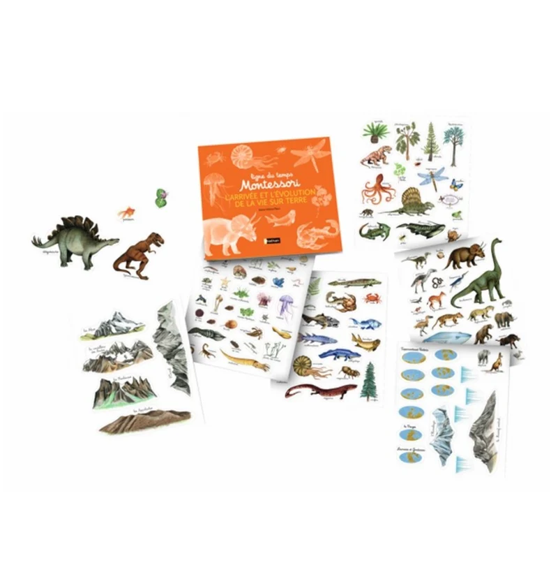 Ligne du Temps Montessori - L'arrivée et l'Evolution de la Vie sur Terre -Nathan