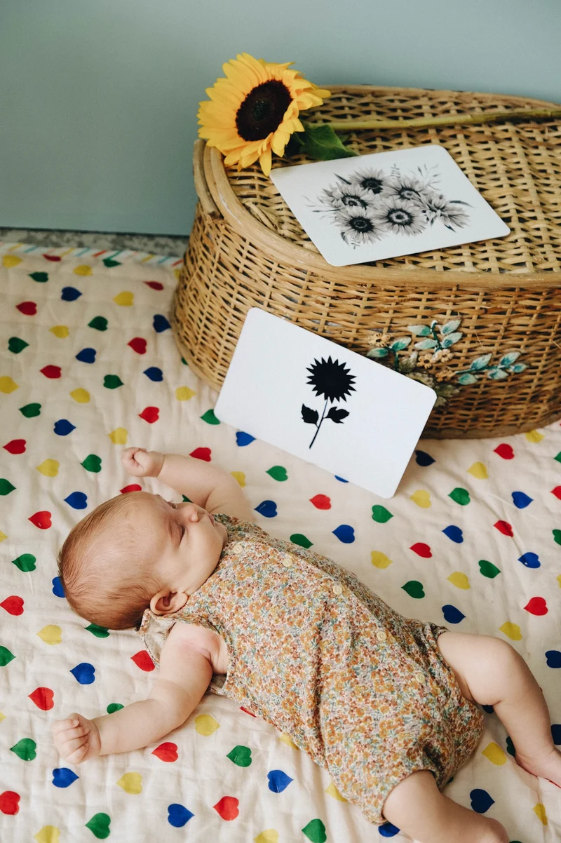 Le Mondy des P'tits Artistes -Observe Montessori