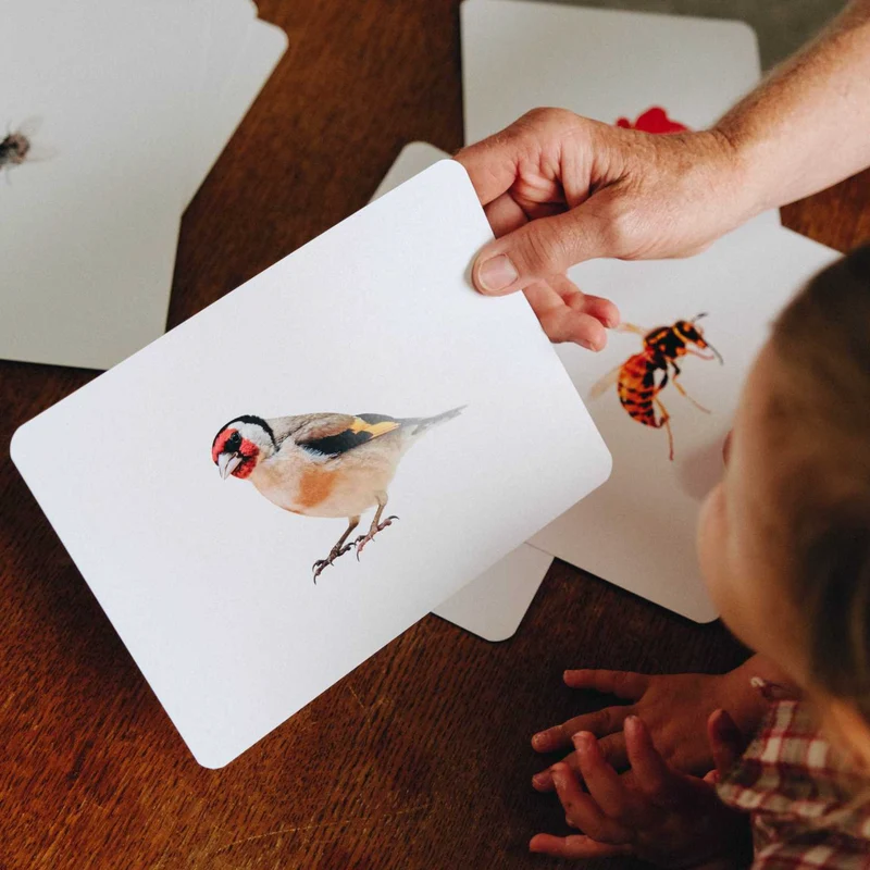 Le Mondy des P'tits Curieux -Observe Montessori