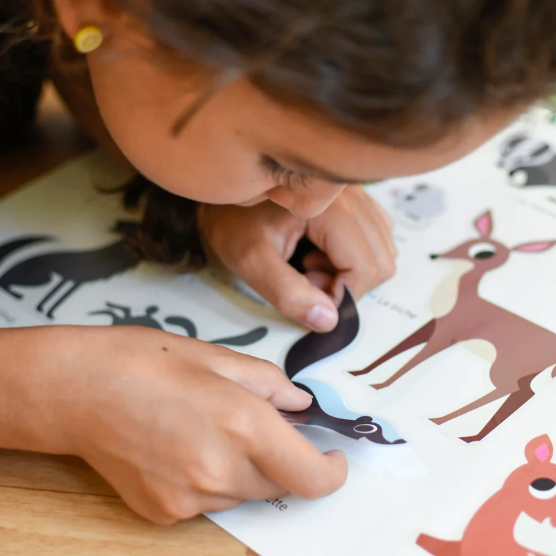 Discovery Forest – Poster éducatif avec stickers pour enfants