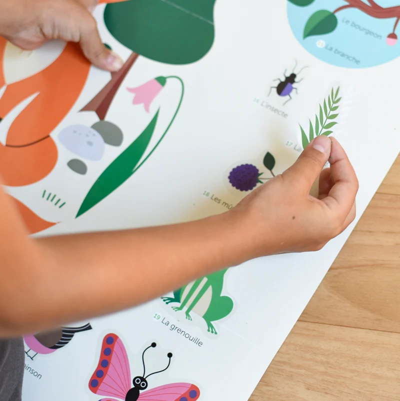 Discovery Forest – Poster éducatif avec stickers pour enfants