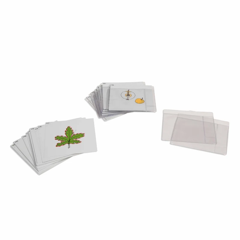 Troisième jeu de cartes de botanique en anglais - Nienhuis AMI