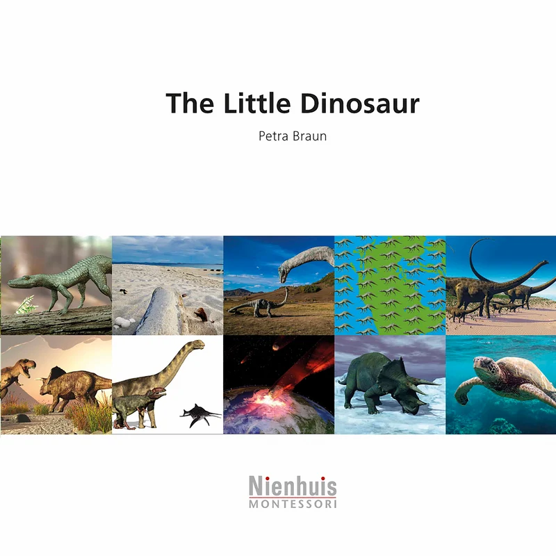 The Little Dinosaur - Nienhuis AMI