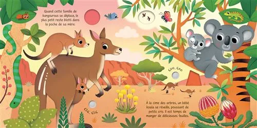 Les Bébés Animaux – Mon Livre Sonore à Toucher - Livre