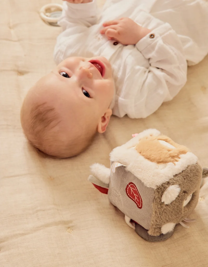 Cube multi-activités - Fluffy, Orso & Lily