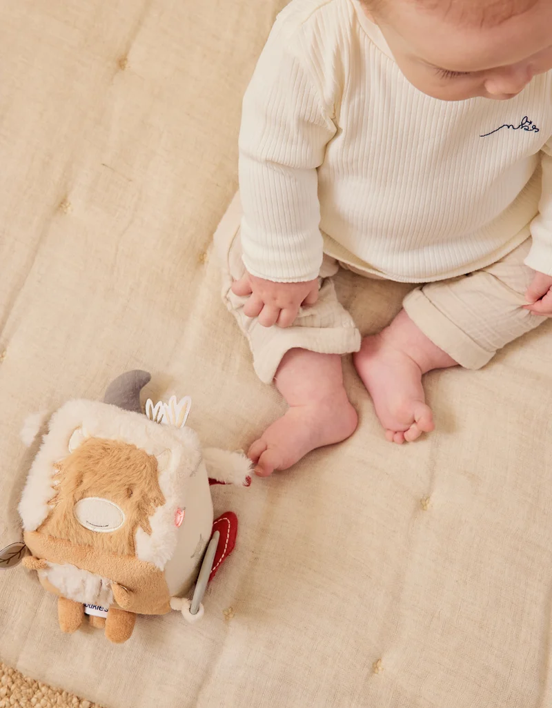 Cube multi-activités - Fluffy, Orso & Lily