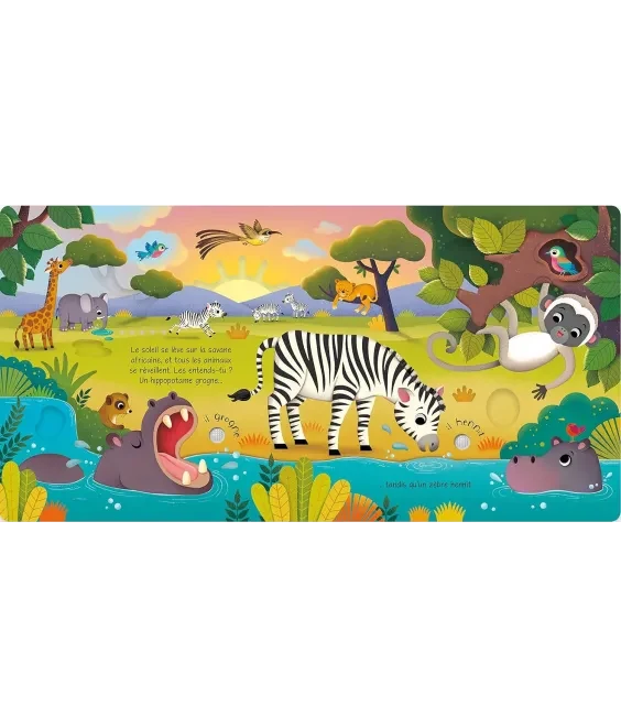 Les Animaux Sauvages – Livre Sonore à Toucher dès 1 an
