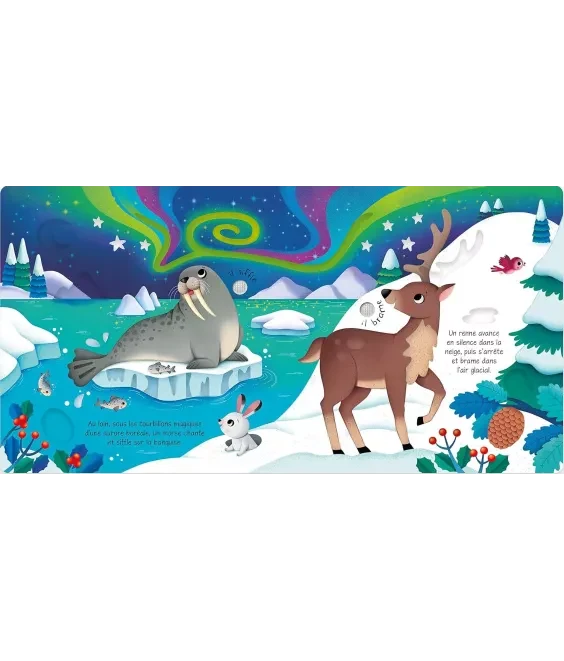 Les Animaux Sauvages – Livre Sonore à Toucher dès 1 an