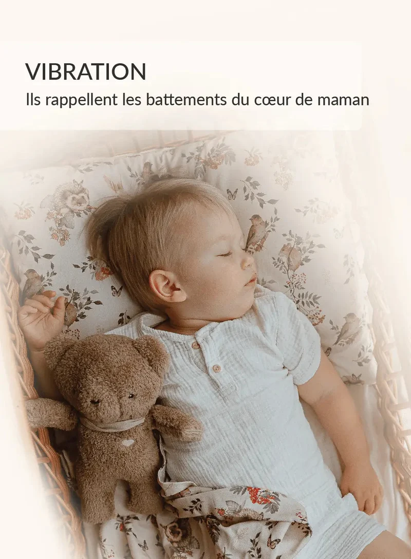MyHummy Ourson Marron 5en1 veilleuse