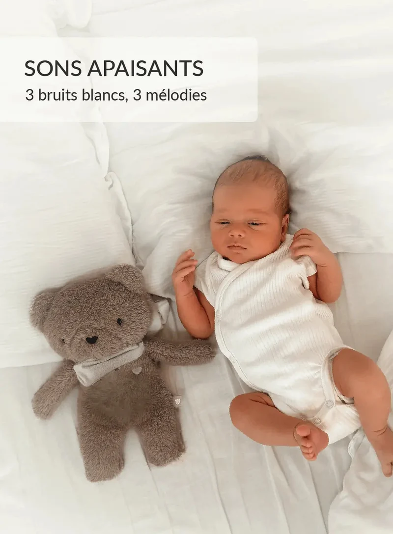 MyHummy Ourson Marron 5en1 veilleuse