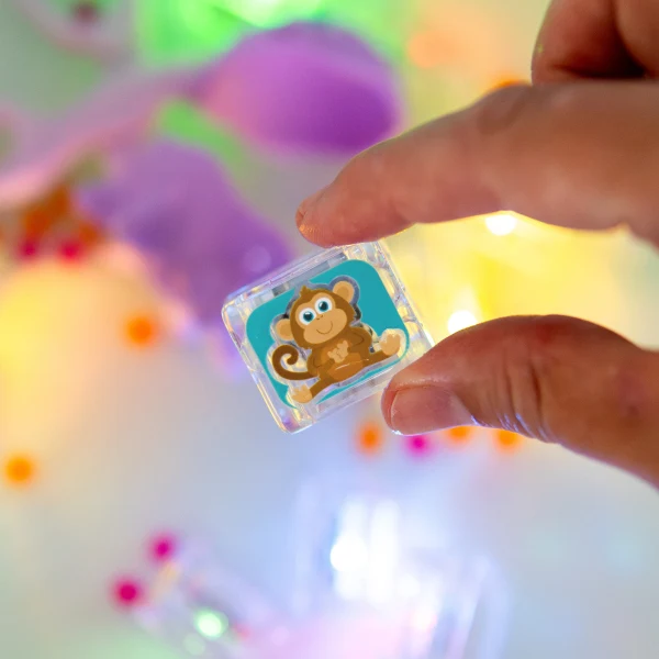 Cubes Lumineux Édition Limitée – 6 pièces – animaux