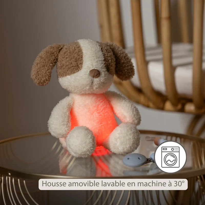 veilleuse peluche chien Teddy vanille 🐶