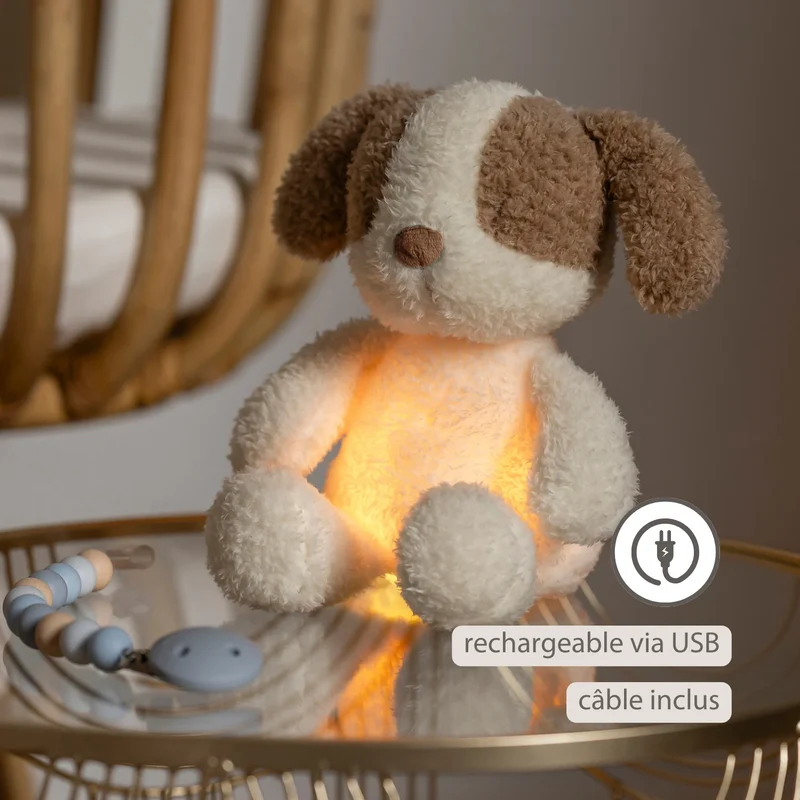 veilleuse peluche chien Teddy vanille 🐶