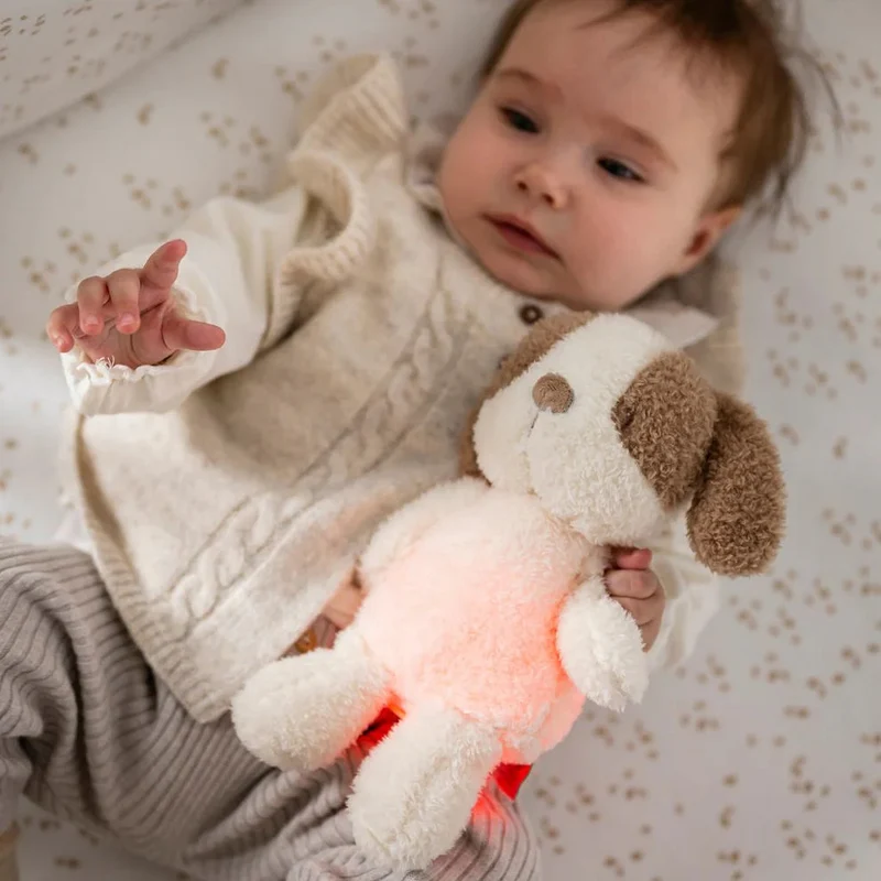 veilleuse peluche chien Teddy vanille 🐶