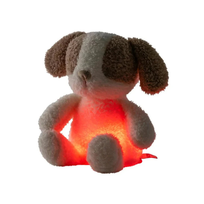 veilleuse peluche chien Teddy vanille 🐶