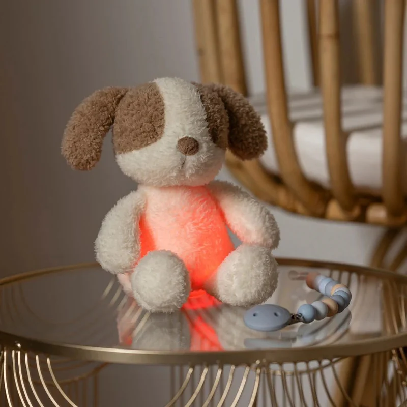 veilleuse peluche chien Teddy vanille 🐶