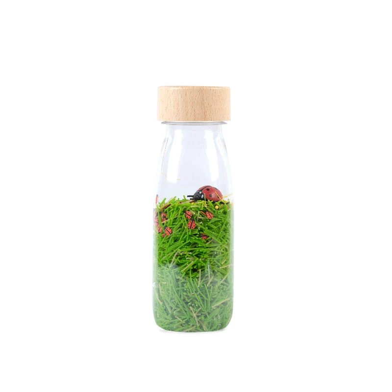 Bouteille sensorielle Coccinelles