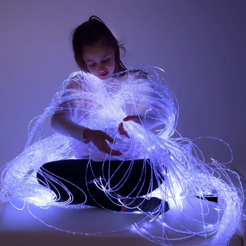 Source de lumière pour fibres optiques