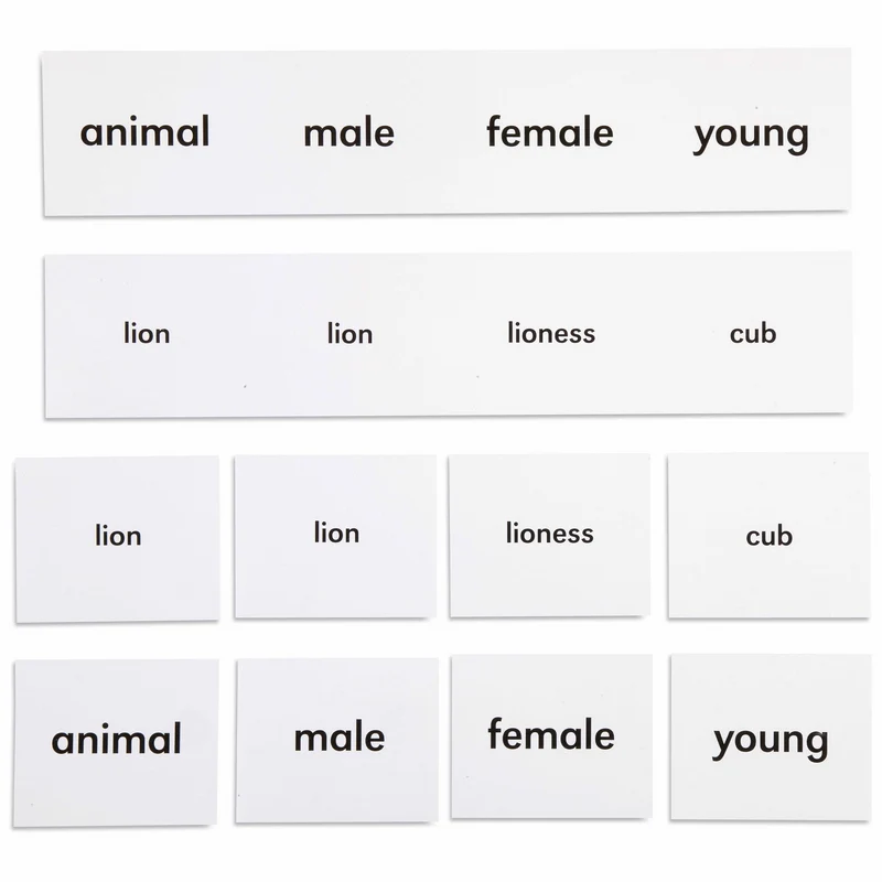 Noms des animaux (en anglais) - Nienhuis AMI