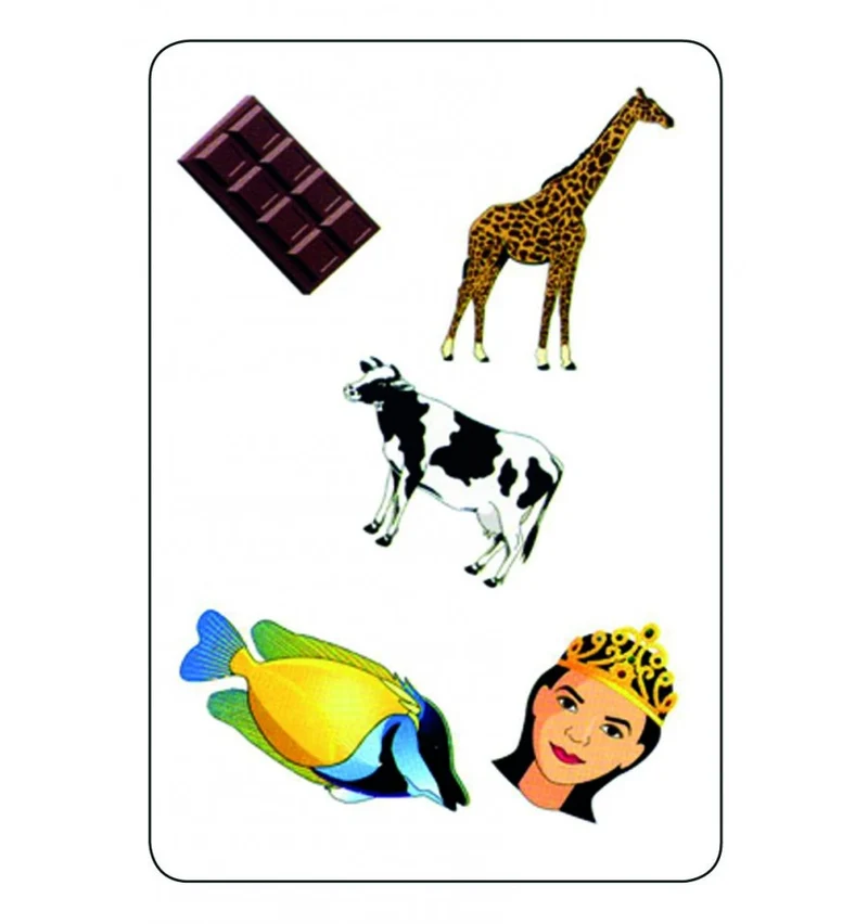 Tam Tam Safari - CP niveau 2