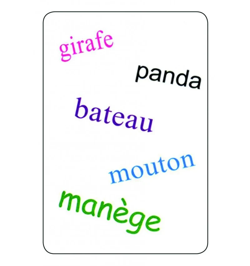 Tam Tam Safari - CP niveau 2