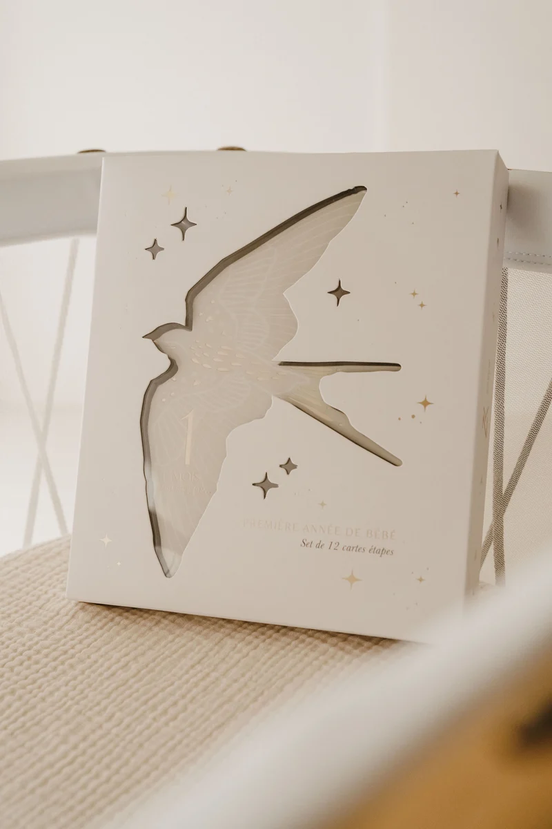 Cartes étapes Birds