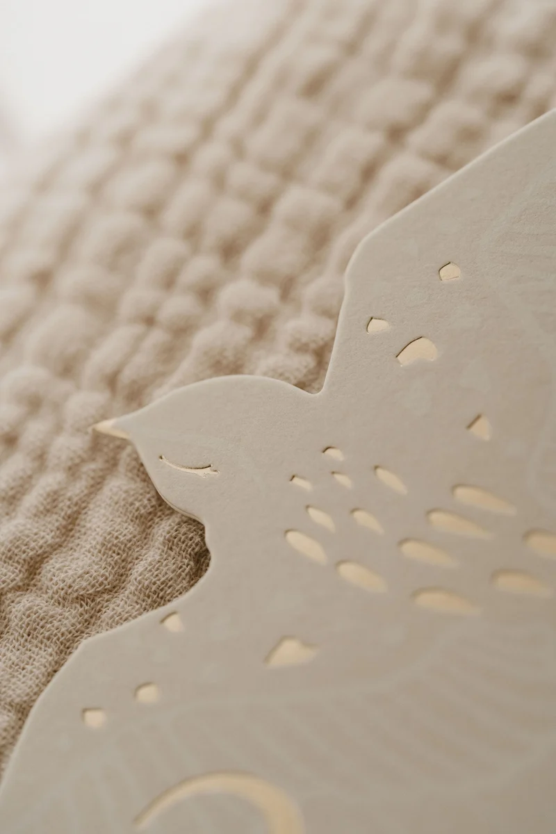 Cartes étapes Birds