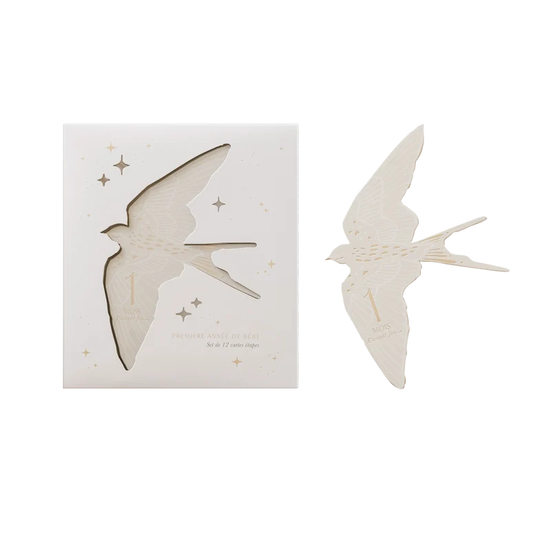 Cartes étapes Birds
