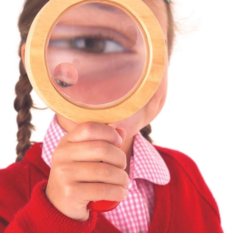 Loupe en bois