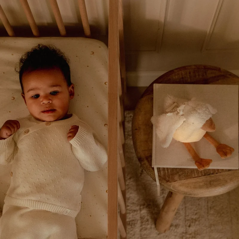 Peluche veilleuse musicale et lumineuse Oie - Newborn