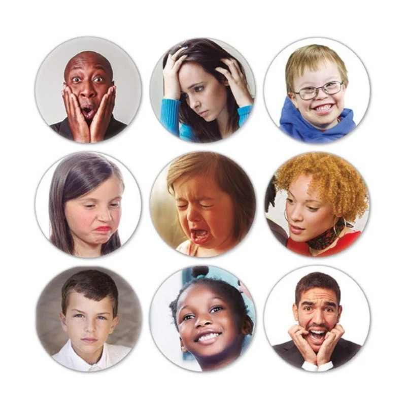 Reconnaitre et Guider les Emotions