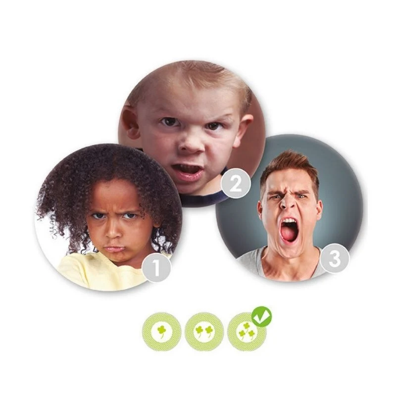Reconnaitre et Guider les Emotions