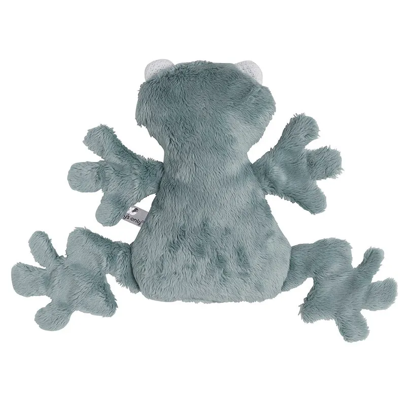 Miroir doudou d'éveil grenouille vert