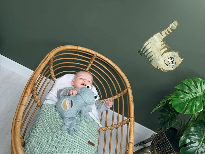 Miroir doudou d'éveil grenouille vert