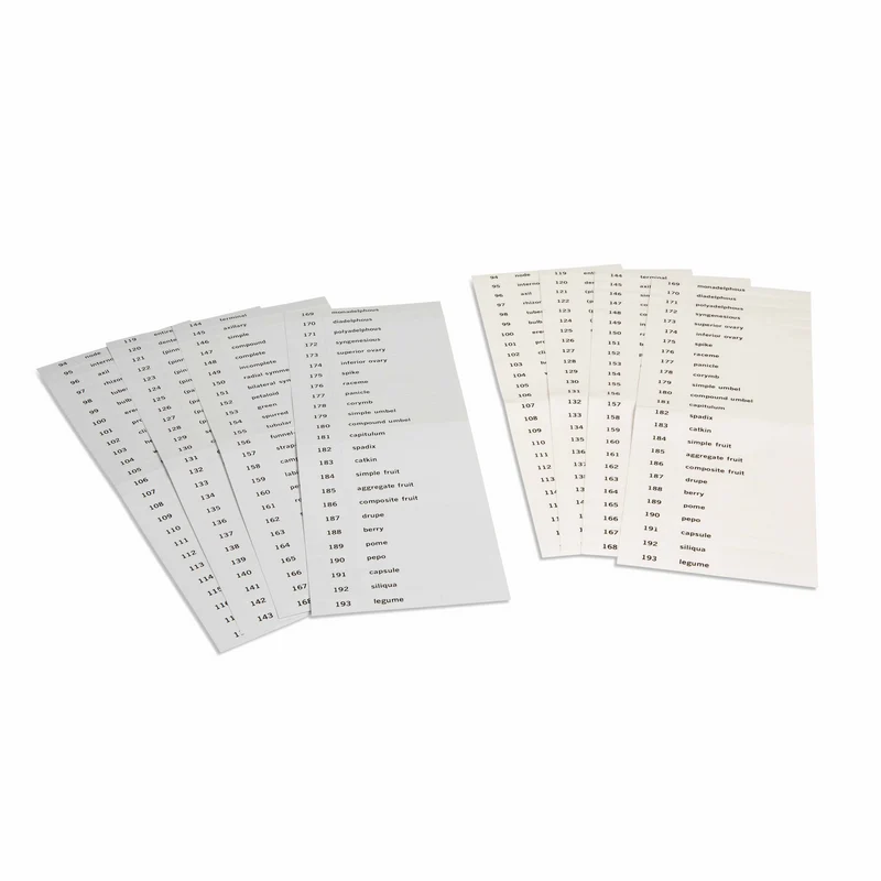 Etiquettes du troisième jeu de cartes de botanique en anglais -Nienhuis AMI