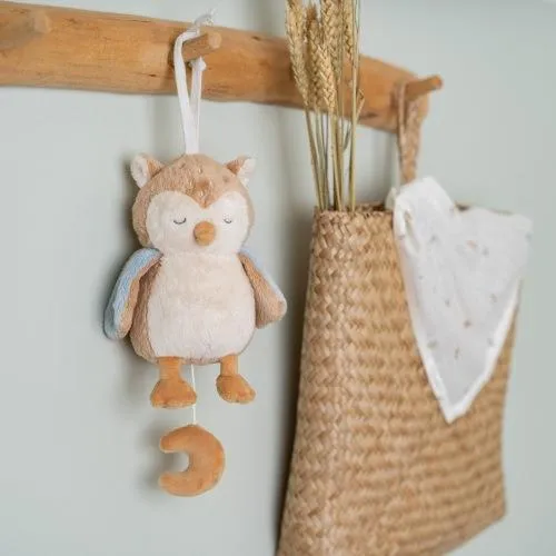 Boîte à musique hibou