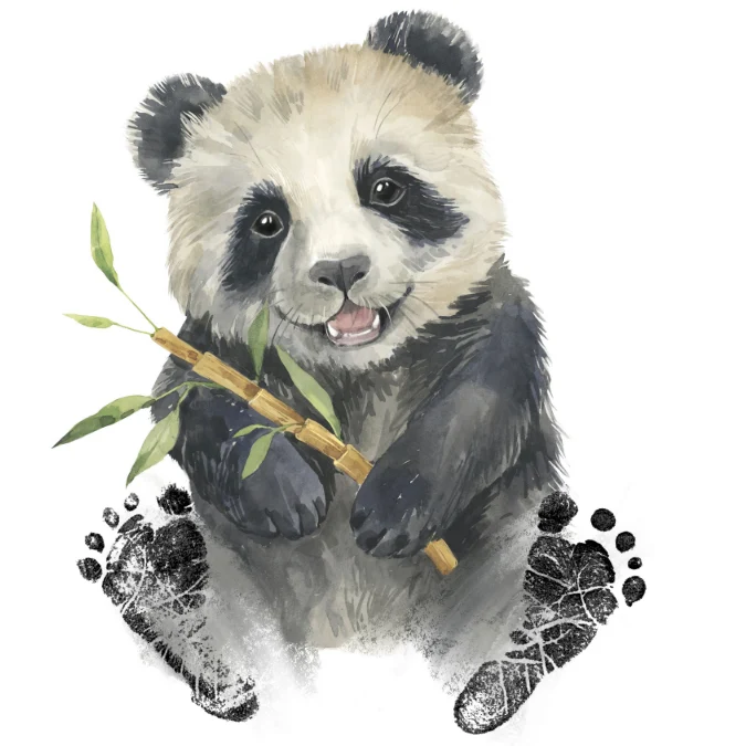 Kit Empreinte bébé panda