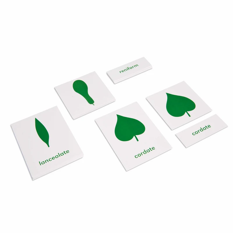 Cartes des éléments du cabinet de botanique (en anglais) - Nienhuis AMI
