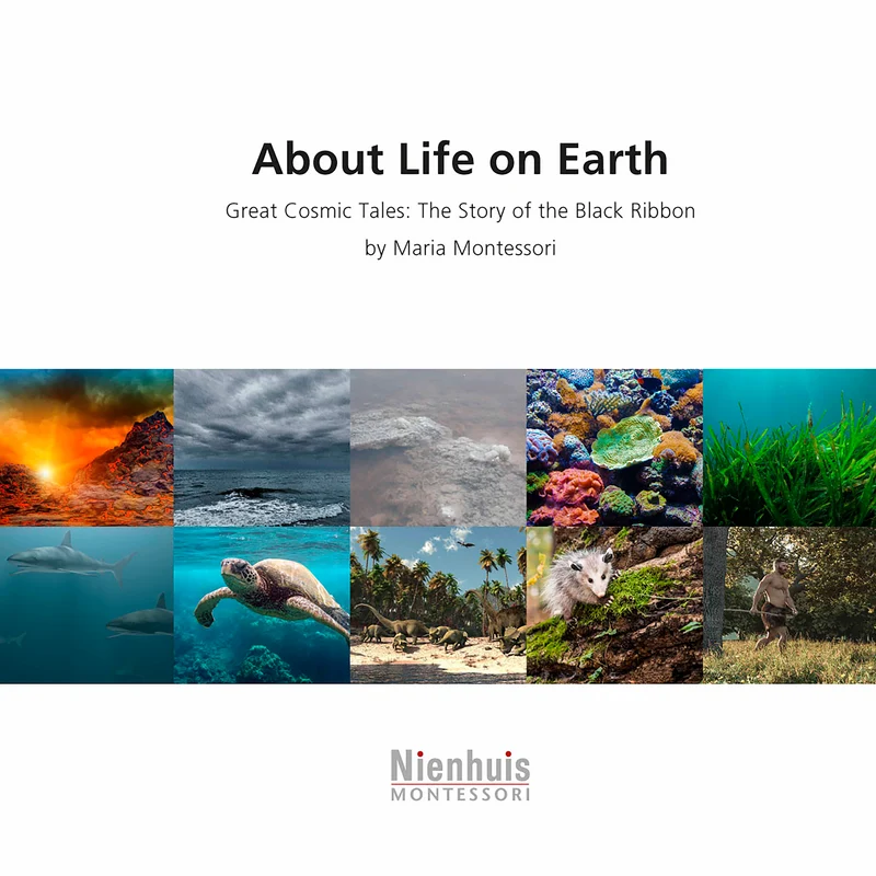 About Life On Earth (anglais) - Nienhuis AMI