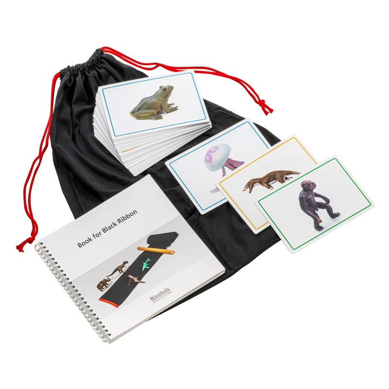 Cartes et livret pour le Ruban Noir