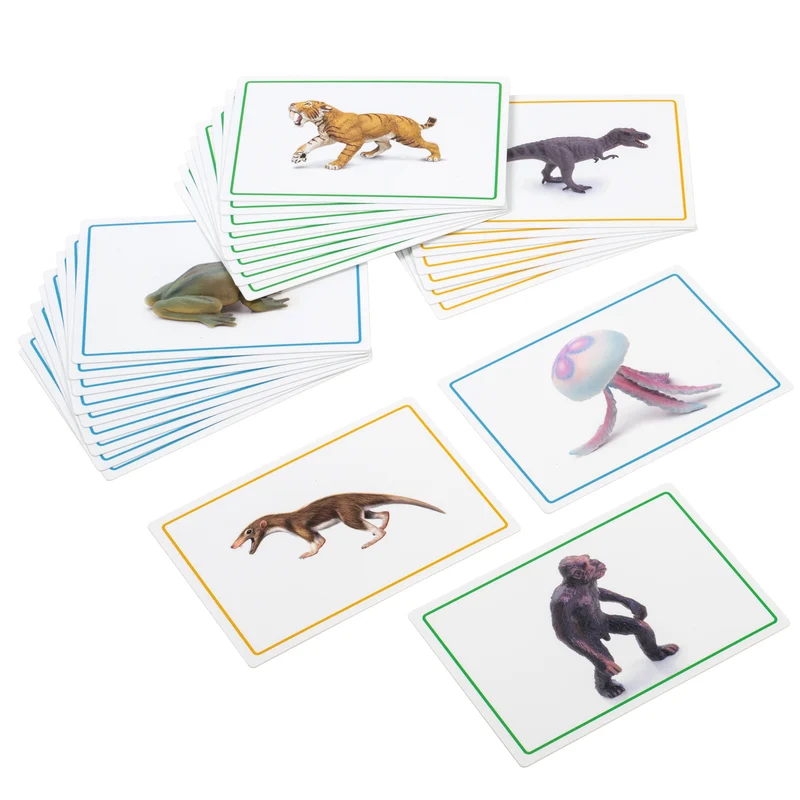 Cartes et livret pour le Ruban Noir