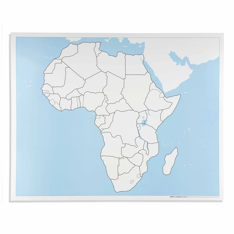 Carte de contrôle muette de l'Afrique - Nienhuis AMI