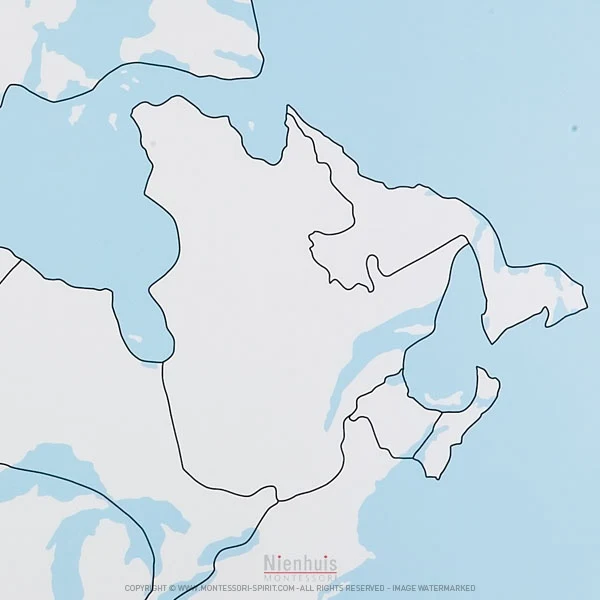 Carte de contrôle muette du Canada