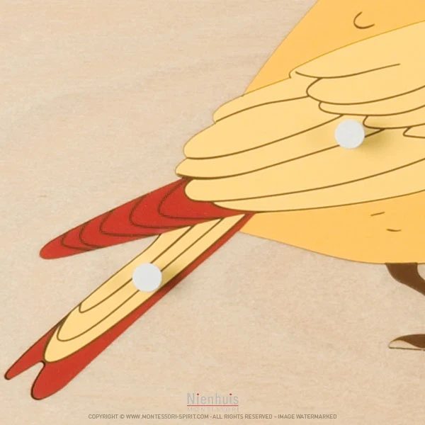 Puzzle animal : oiseau