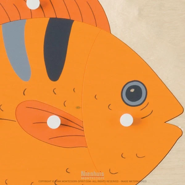 Puzzle animal : poisson