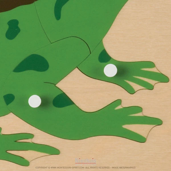 Puzzle animal : grenouille