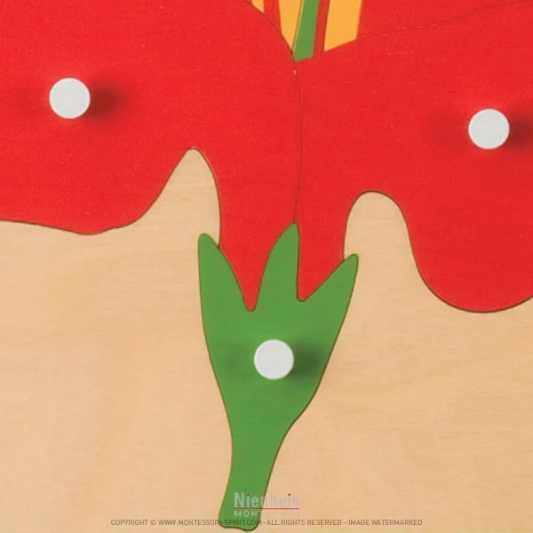 Puzzle de botanique : fleur
