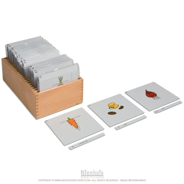 Boite de rangement deuxième jeu de cartes de botanique