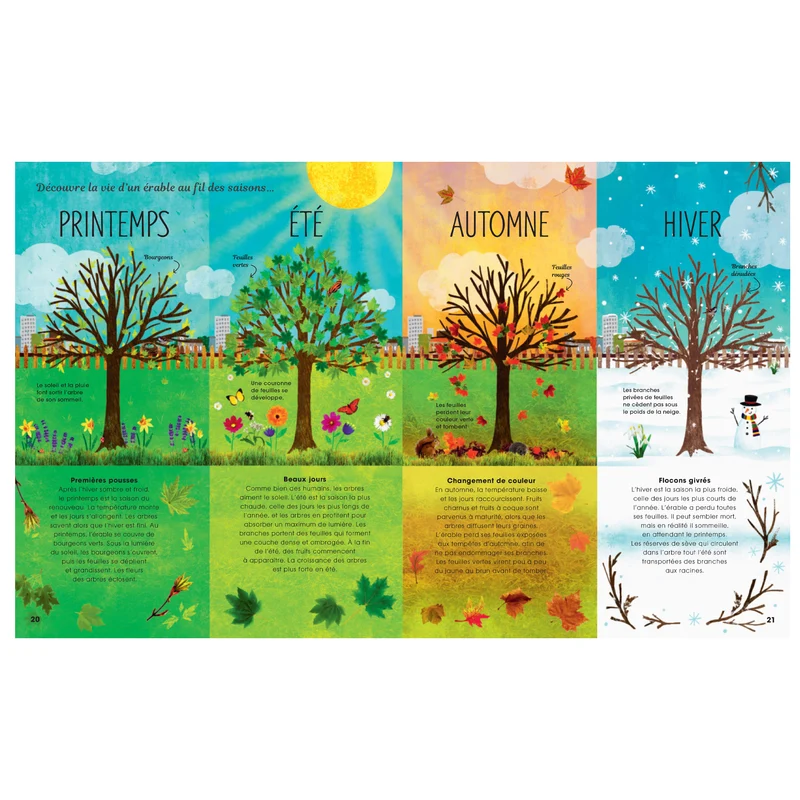 Arbres secrets et mystères insoupçonnés -Kimane